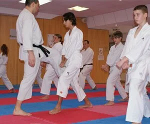 karatevideo